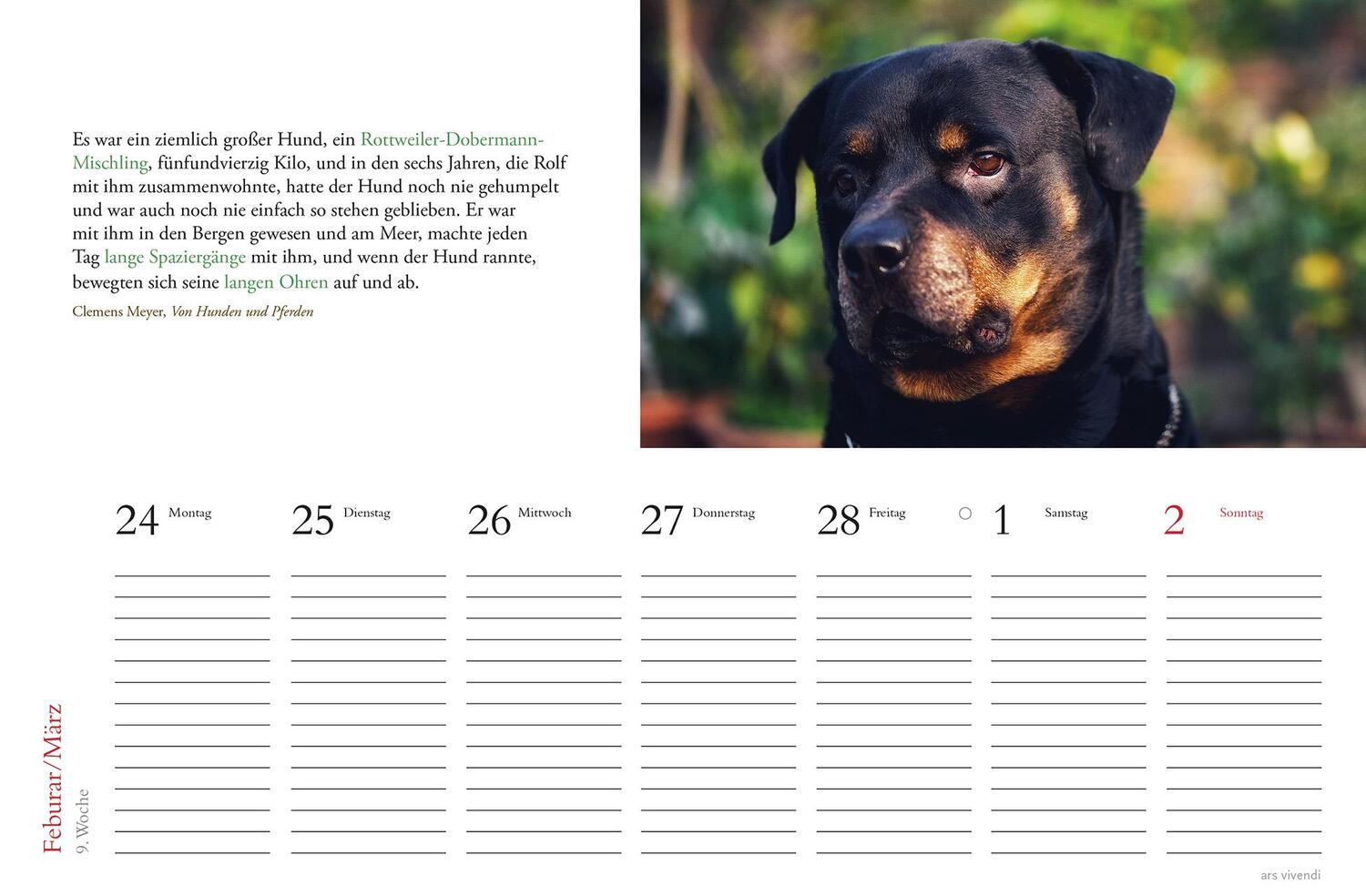 Bild: 9783747205709 | Tischkalender Hunde 2025 | Tischkalender | ars vivendi verlag | 53 S.