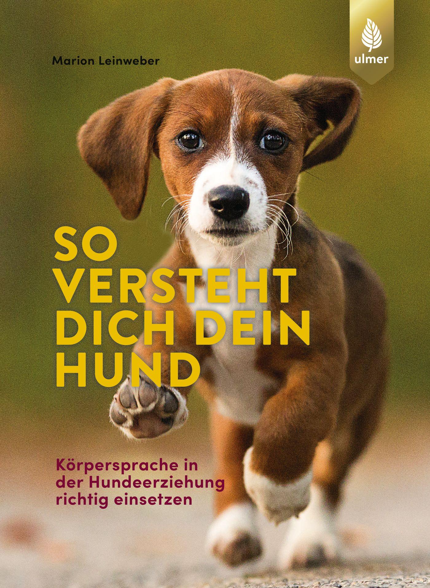 Cover: 9783818609221 | So versteht dich dein Hund | Marion Leinweber | Taschenbuch | 128 S.