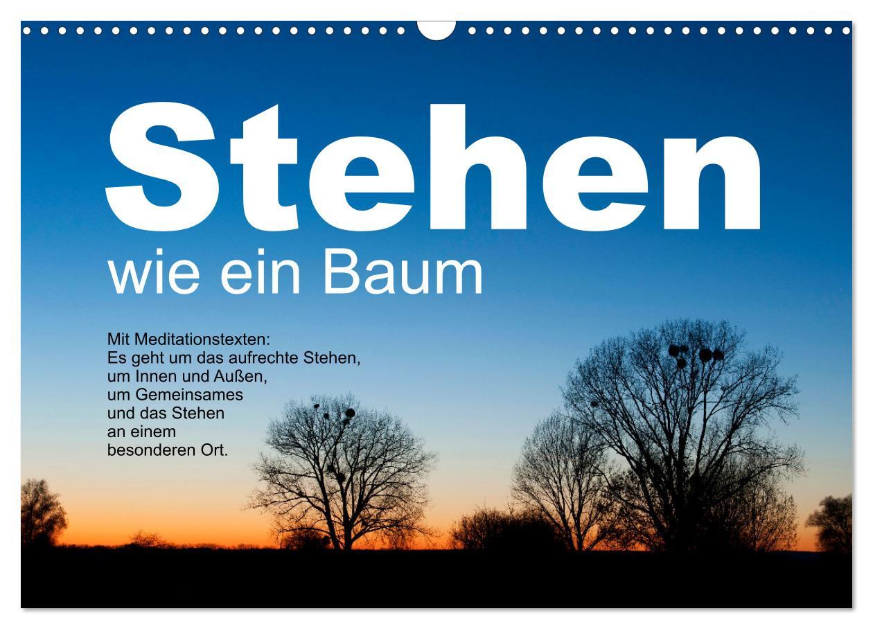 Cover: 9783383886553 | Stehen wie ein Baum (Wandkalender 2025 DIN A3 quer), CALVENDO...