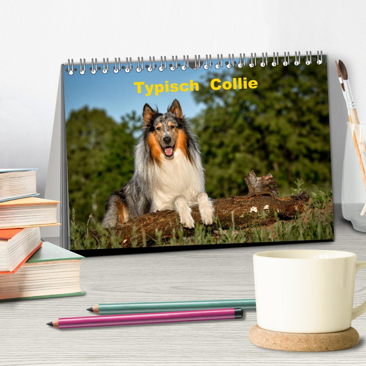 Bild: 9783435110179 | Typisch Collie (Tischkalender 2025 DIN A5 quer), CALVENDO...