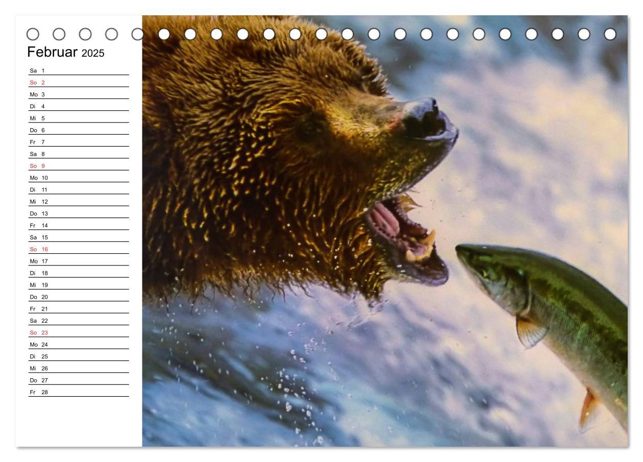 Bild: 9783435538058 | Alaska und Kanada (Tischkalender 2025 DIN A5 quer), CALVENDO...