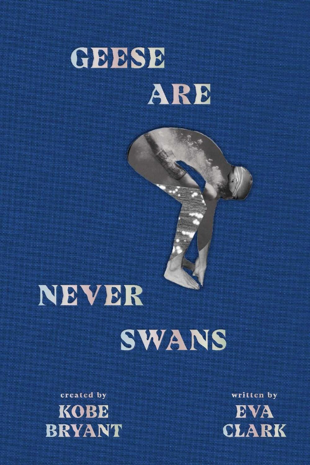 Cover: 9781949520057 | Geese Are Never Swans | Eva Clark | Buch | Gebunden | Englisch | 2020