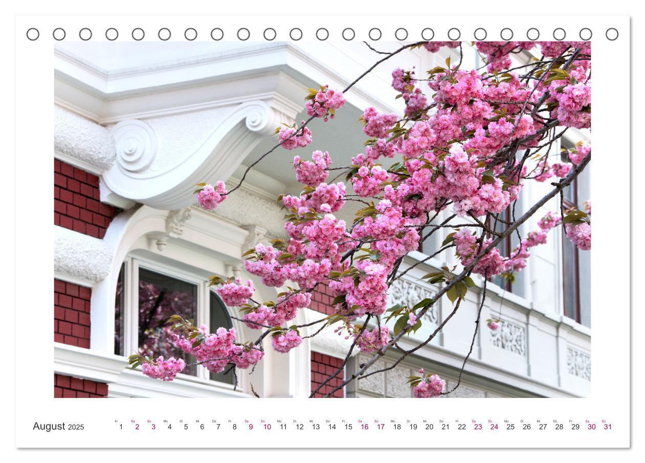 Bild: 9783457127889 | Japanische Kirschblüte in Bonn (Tischkalender 2025 DIN A5 quer),...