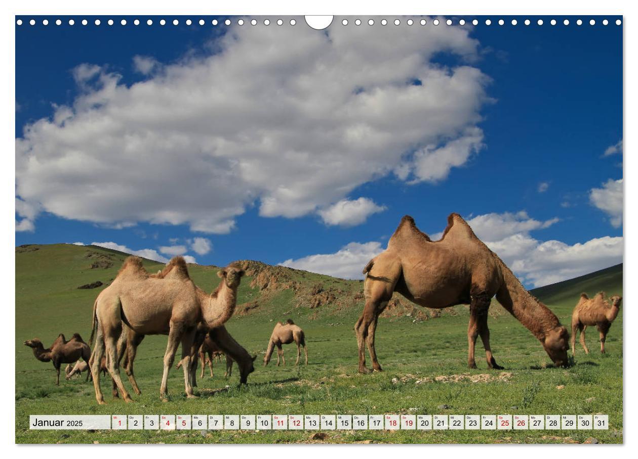 Bild: 9783435286553 | Mongolei Endlose Weite (Wandkalender 2025 DIN A3 quer), CALVENDO...