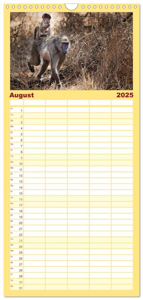 Bild: 9783457115589 | Familienplaner 2025 - Tierbabys 2025 mit 5 Spalten (Wandkalender,...