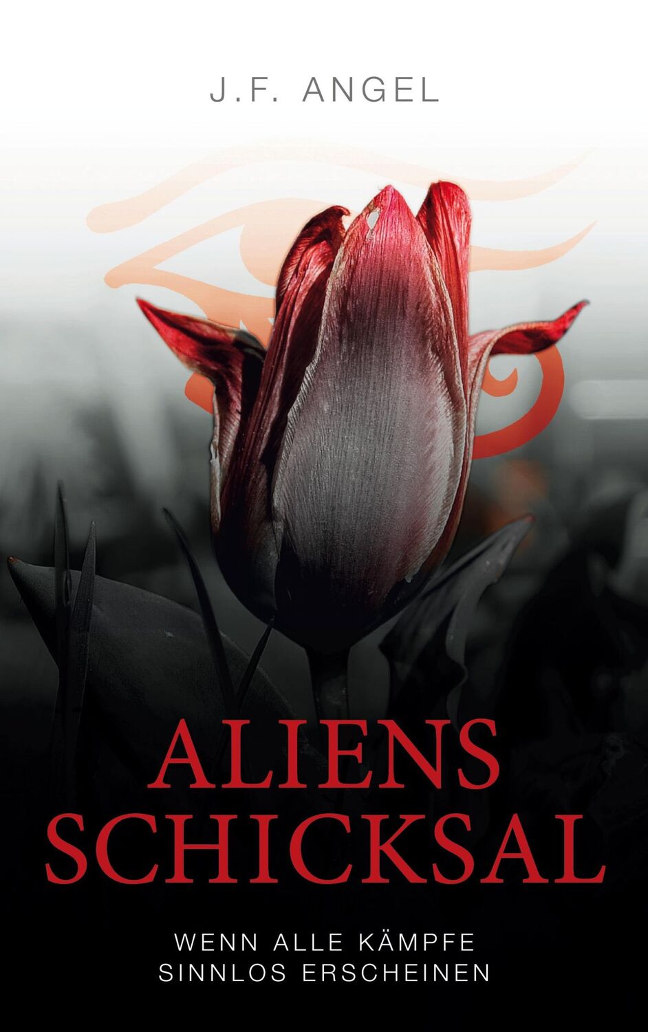 Cover: 9783756831128 | Aliens Schicksal | Wenn alle Kämpfe sinnlos erscheinen | J. F. Angel