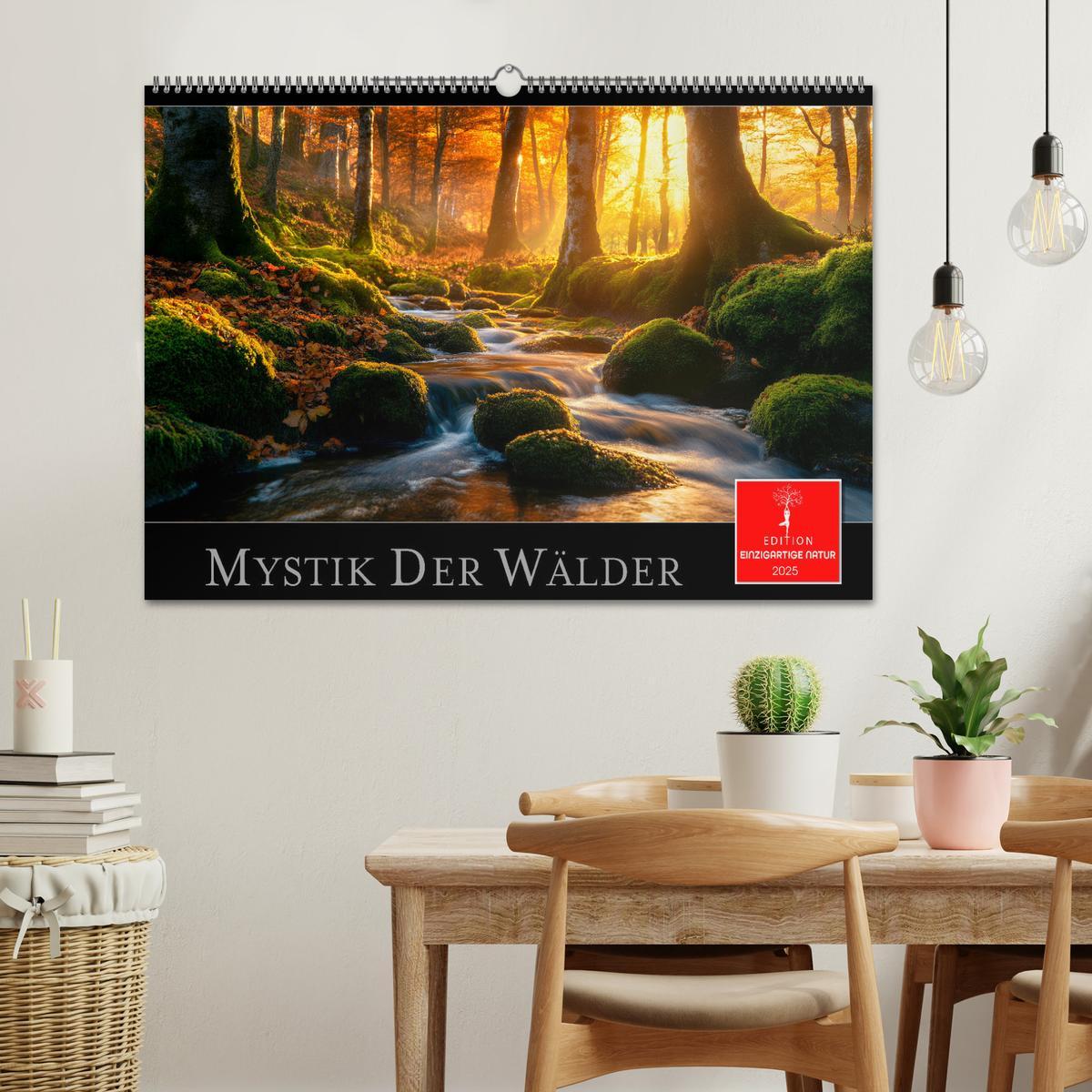 Bild: 9783457224793 | Mystik der Wälder (Wandkalender 2025 DIN A2 quer), CALVENDO...