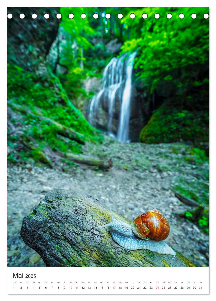 Bild: 9783435900534 | Allgäuer Wasserfälle (Tischkalender 2025 DIN A5 hoch), CALVENDO...