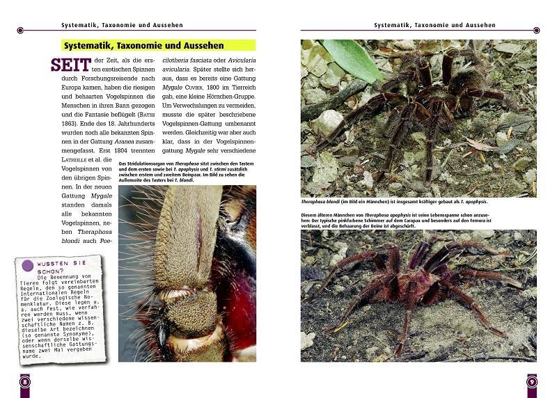 Bild: 9783937285795 | Riesenvogelspinnen | Theraphosa blondi &amp; T. apophysis. Art für Art