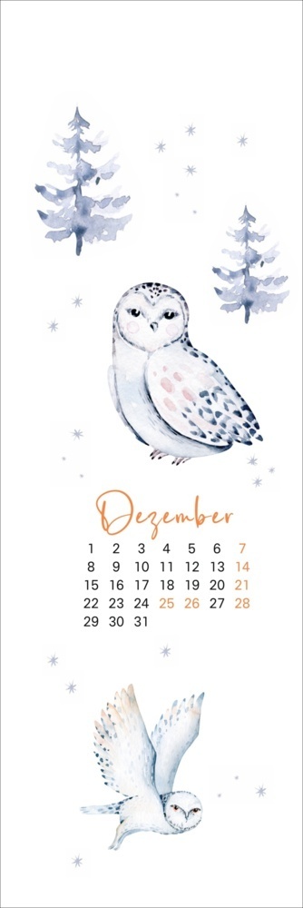 Bild: 9783756407323 | Waldtiere Lesezeichen &amp; Kalender 2025 | Kalender | Geblockt | 13 S.