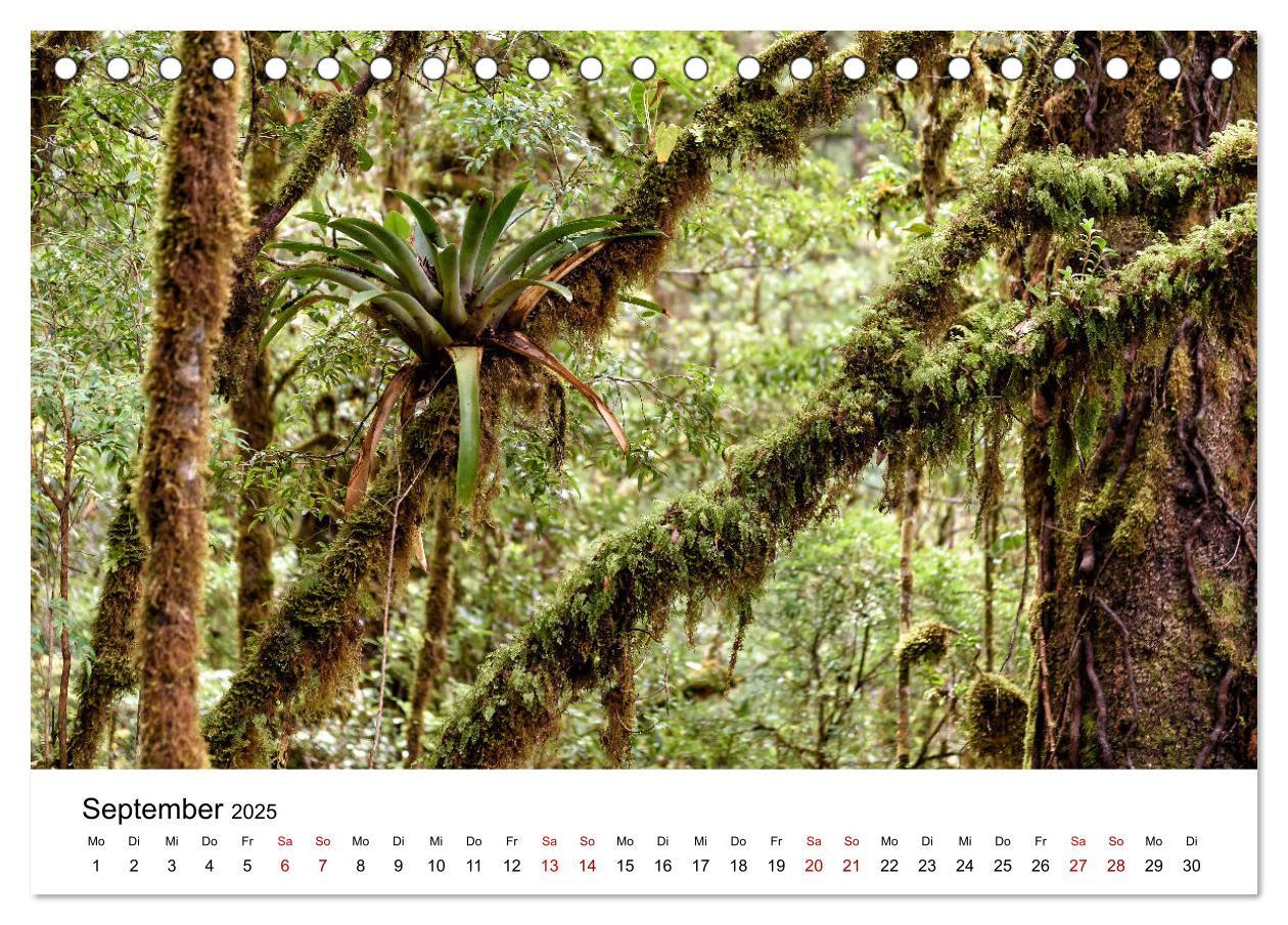 Bild: 9783435273492 | Costa Rica - das Naturparadies (Tischkalender 2025 DIN A5 quer),...