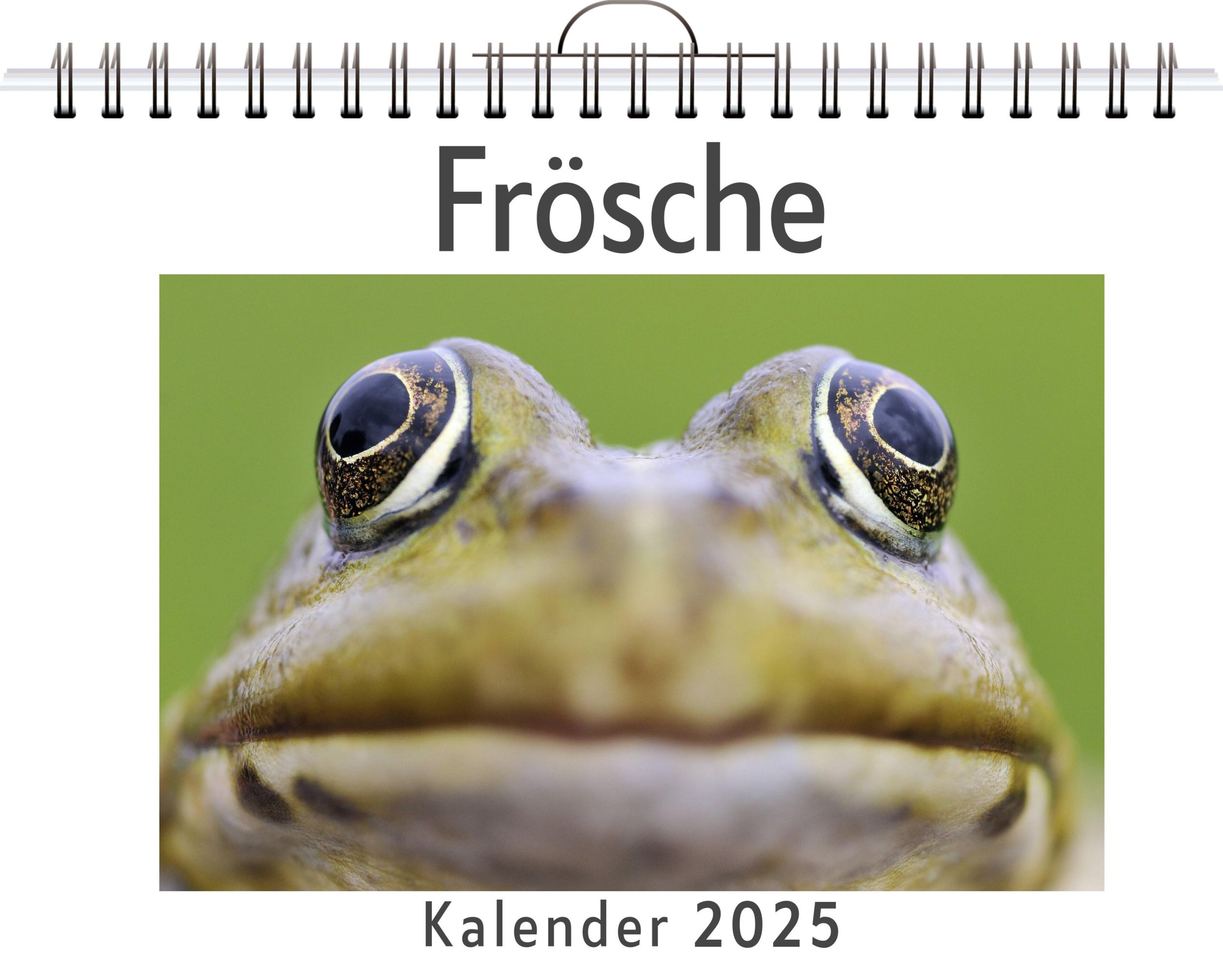 Cover: 9783759122568 | Frösche - (Wandkalender 2025, Kalender DIN A4 quer, Monatskalender...