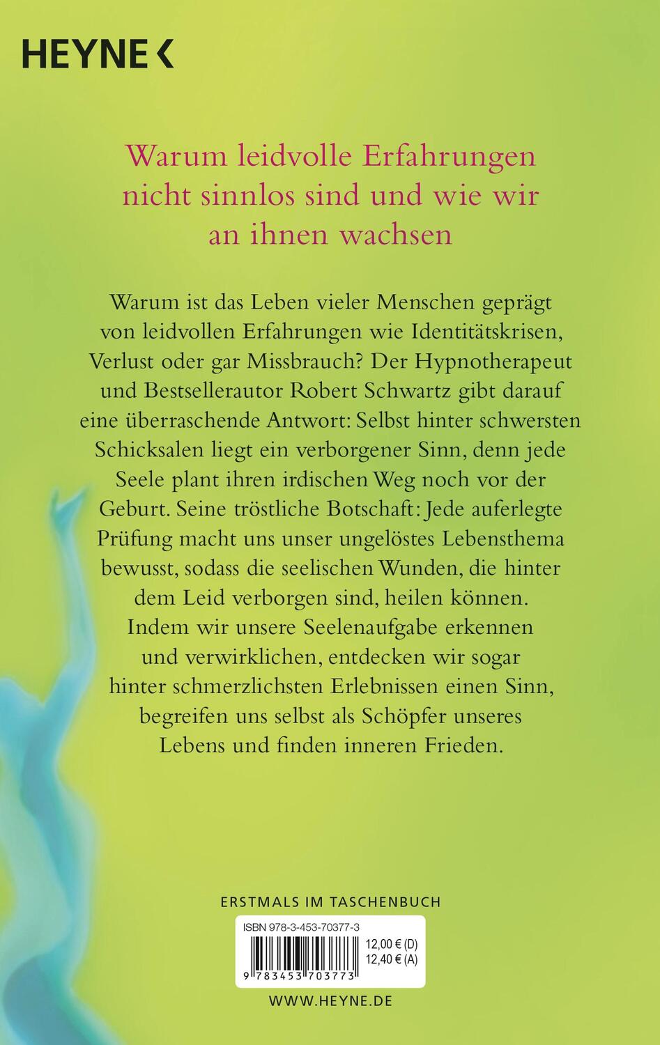 Bild: 9783453703773 | Die Mission der Seele | Robert Schwartz | Taschenbuch | 352 S. | 2019