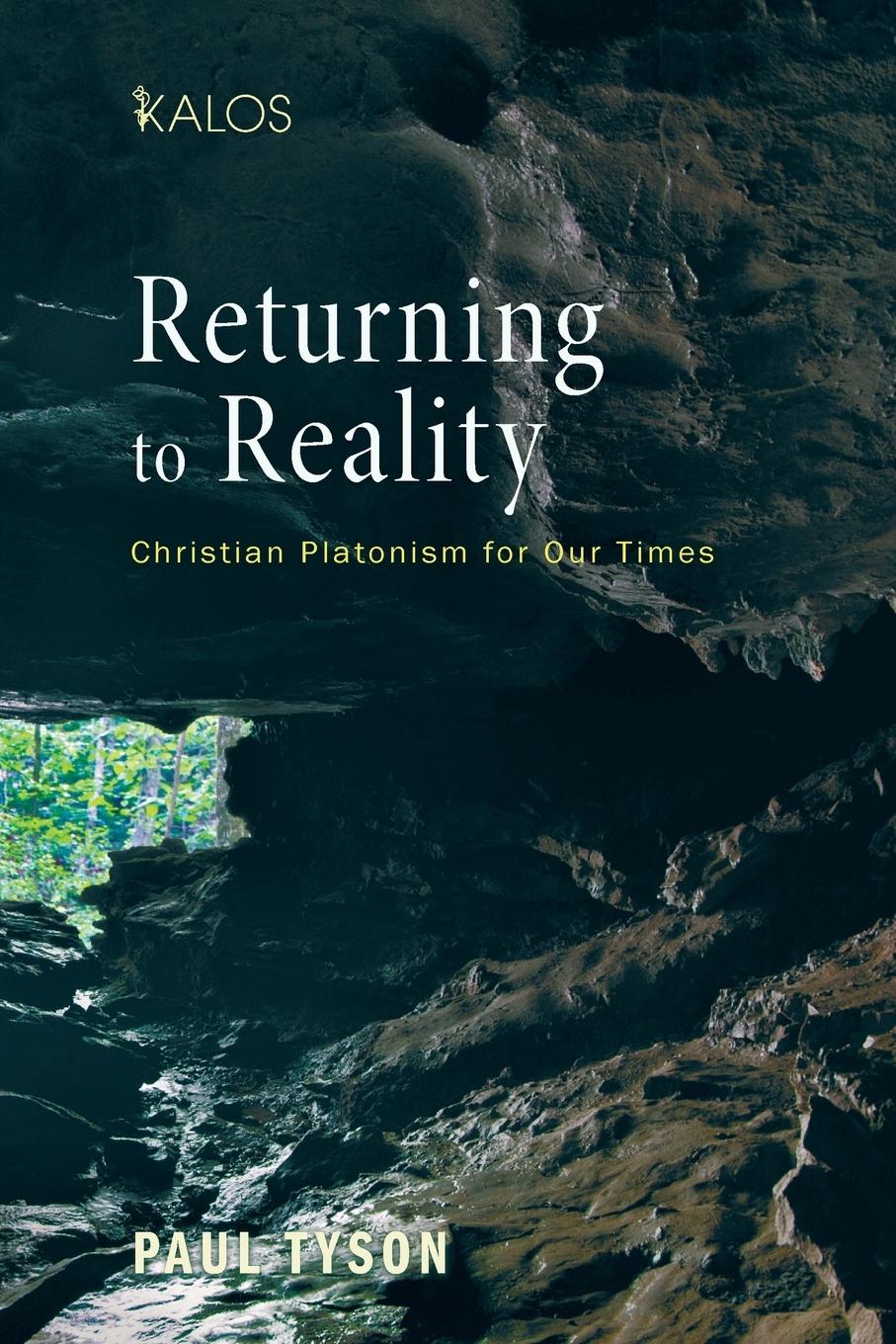 Cover: 9781610979245 | Returning to Reality | Paul Tyson | Taschenbuch | Englisch | 2014