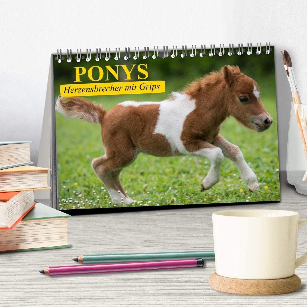 Bild: 9783435651184 | Ponys. Herzensbrecher mit Grips (Tischkalender 2025 DIN A5 quer),...