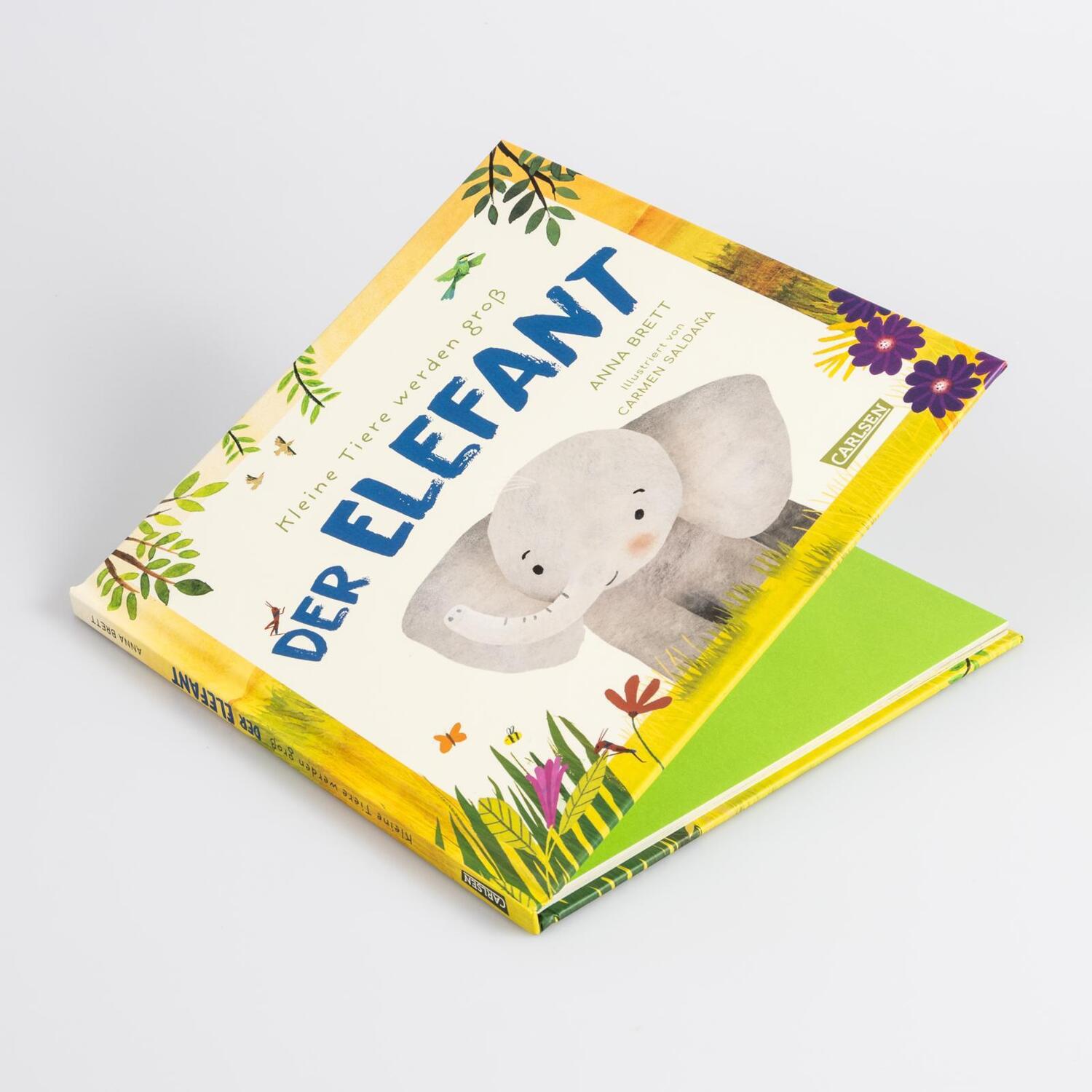 Bild: 9783551254979 | Kleine Tiere werden groß - Der Elefant | Anna Brett | Buch | 48 S.