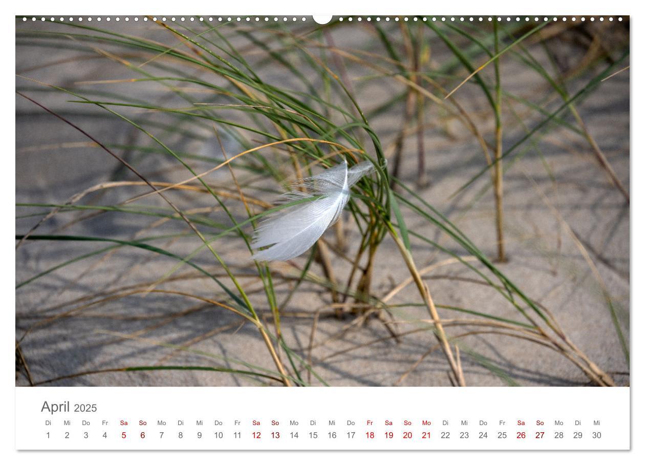 Bild: 9783435021918 | Dänemark - Henne Strand (Wandkalender 2025 DIN A2 quer), CALVENDO...