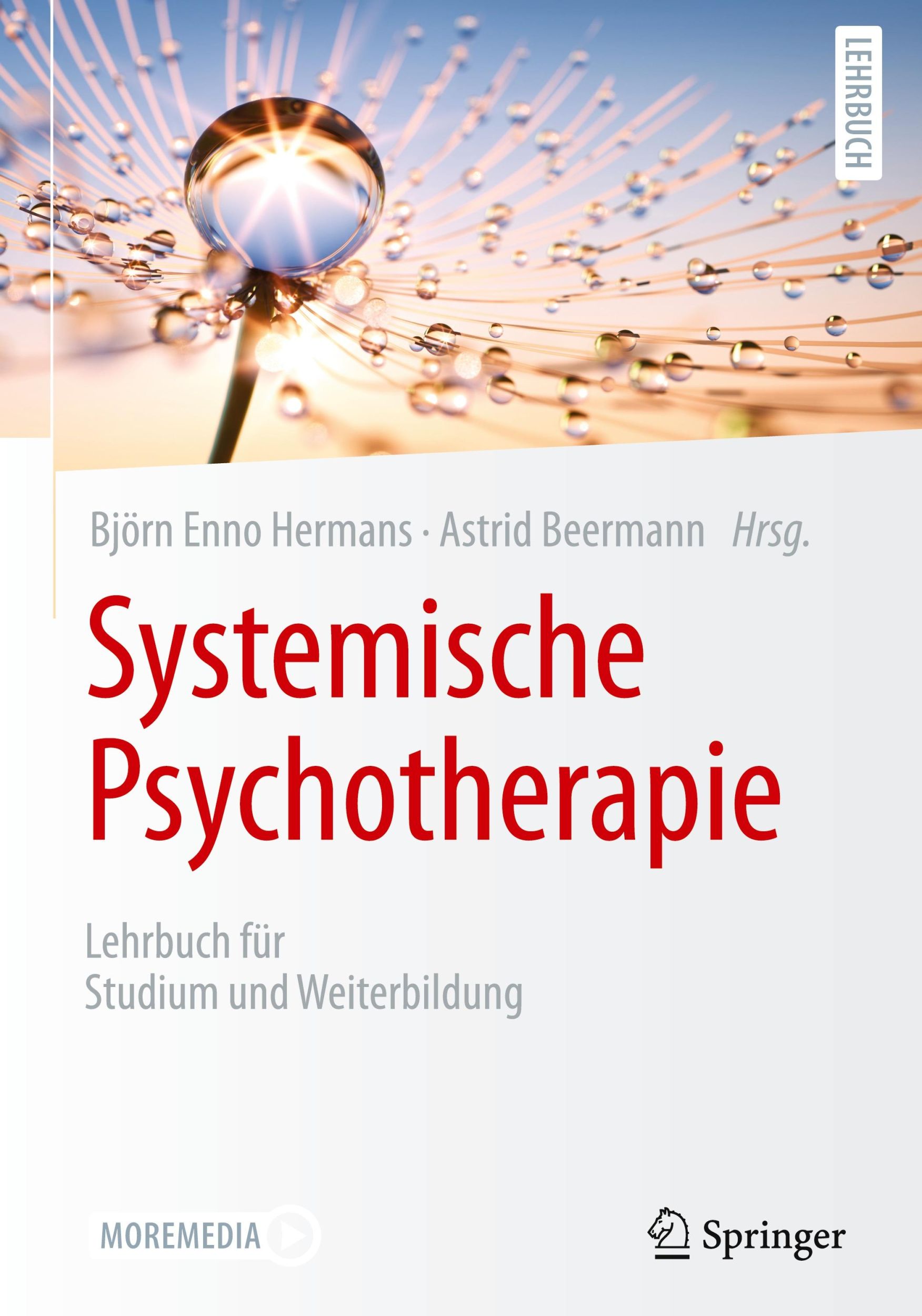 Cover: 9783662647271 | Systemische Psychotherapie | Lehrbuch für Studium und Weiterbildung