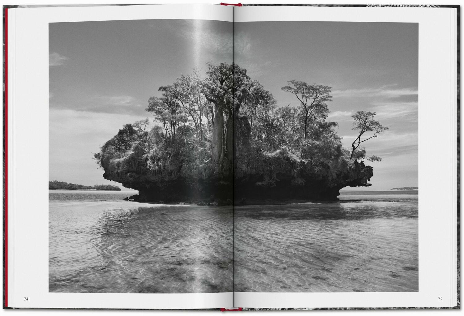 Bild: 9783754400616 | Sebastião Salgado. Genesis | Taschen | Buch | 192 S. | Deutsch | 2024