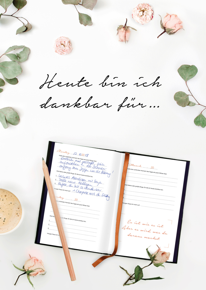 Bild: 9783745900859 | Mein Dankbarkeits-Tagebuch: 365 Days of Gratitude | Buch | 224 S.