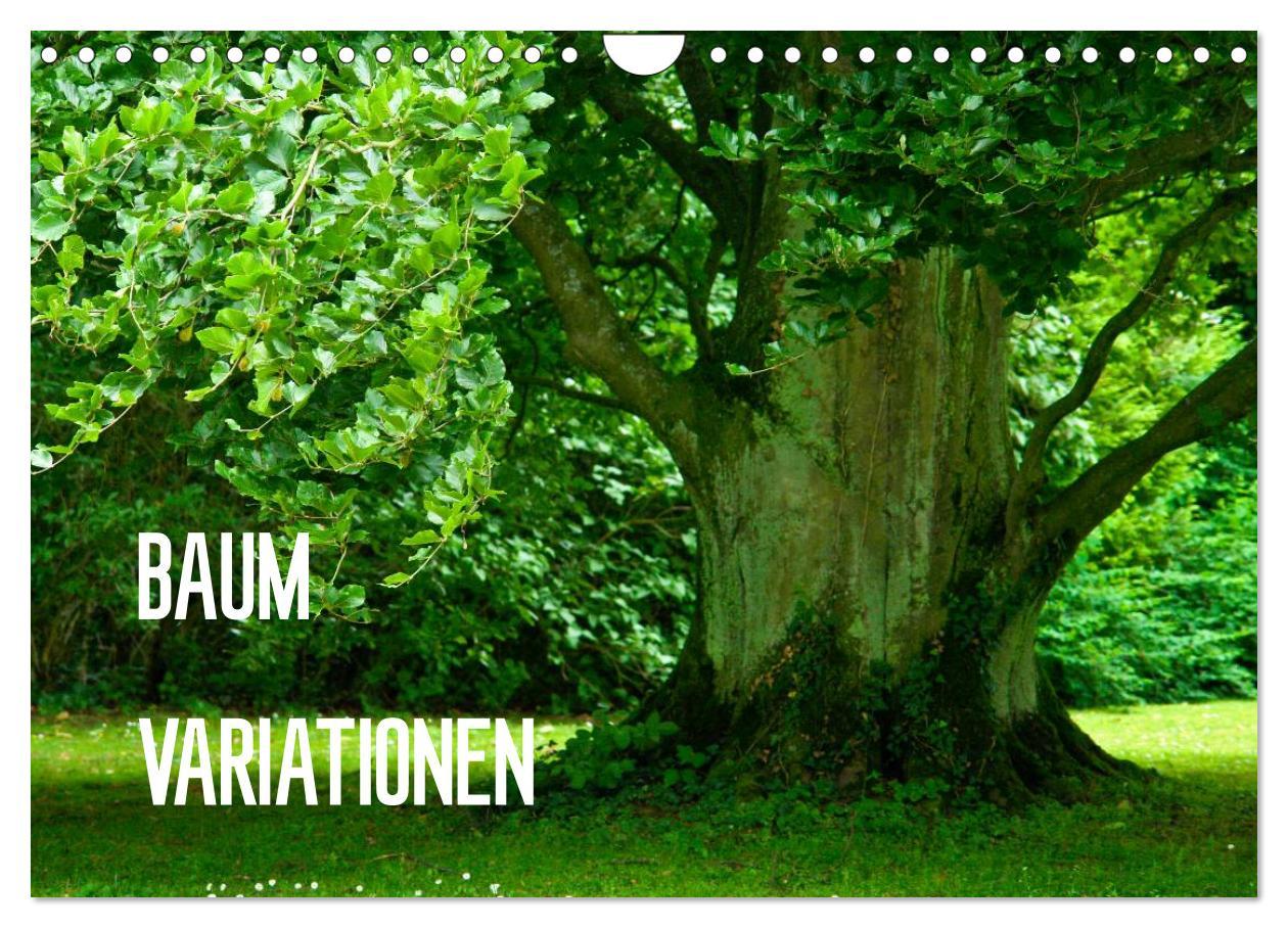 Cover: 9783435812363 | Baum-Variationen (Wandkalender 2025 DIN A4 quer), CALVENDO...