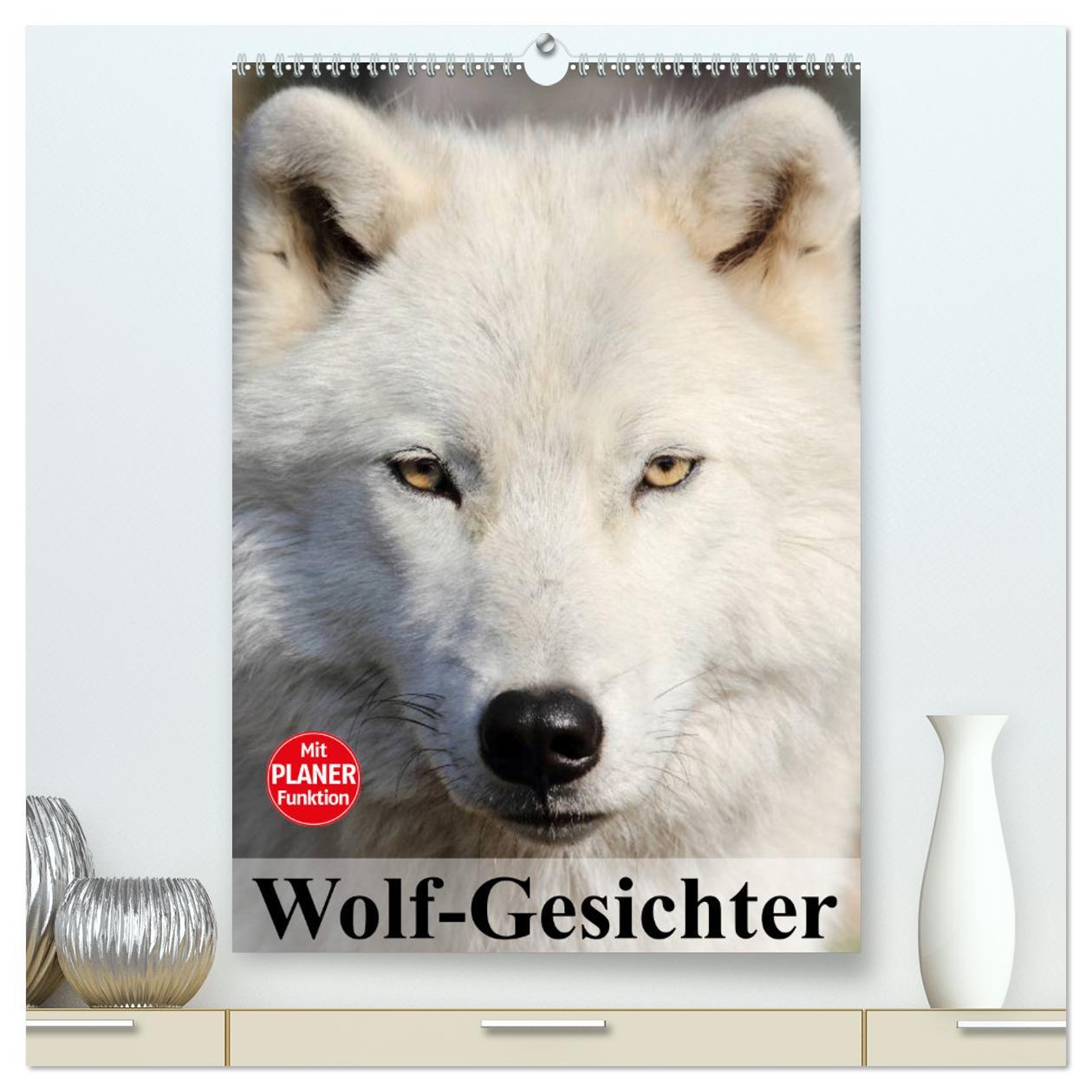 Cover: 9783457007143 | Wolf-Gesichter (hochwertiger Premium Wandkalender 2025 DIN A2...