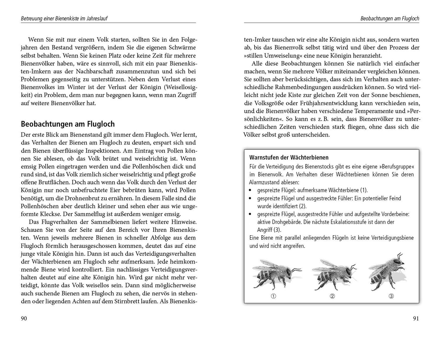 Bild: 9783895663413 | Wesensgemäße Bienenhaltung in der Bienenkiste | Erhard Maria Klein