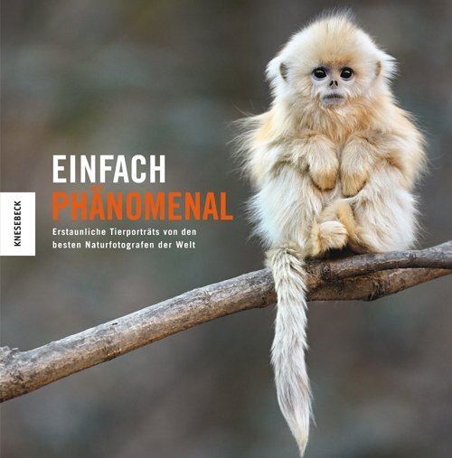 Cover: 9783957282408 | Einfach phänomenal | Natural History Museum | Buch | 128 S. | Deutsch