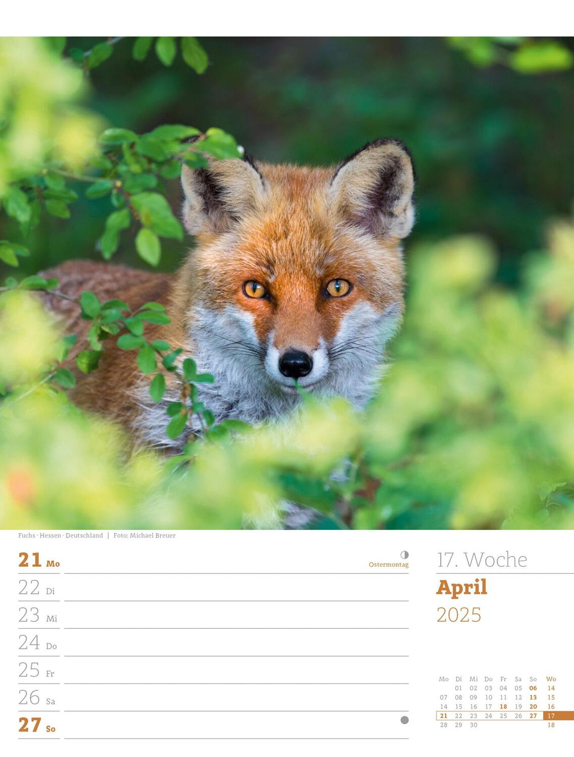 Bild: 9783838425979 | Unser Wald - Wochenplaner Kalender 2025 | Ackermann Kunstverlag | 2025