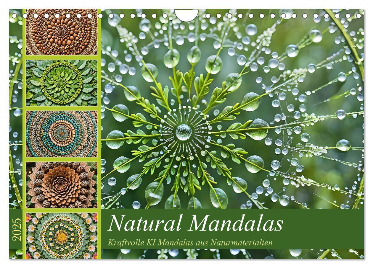 Cover: 9783457156575 | Natural Mandalas - Kraftvolle KI Mandalas aus Naturmaterialien...