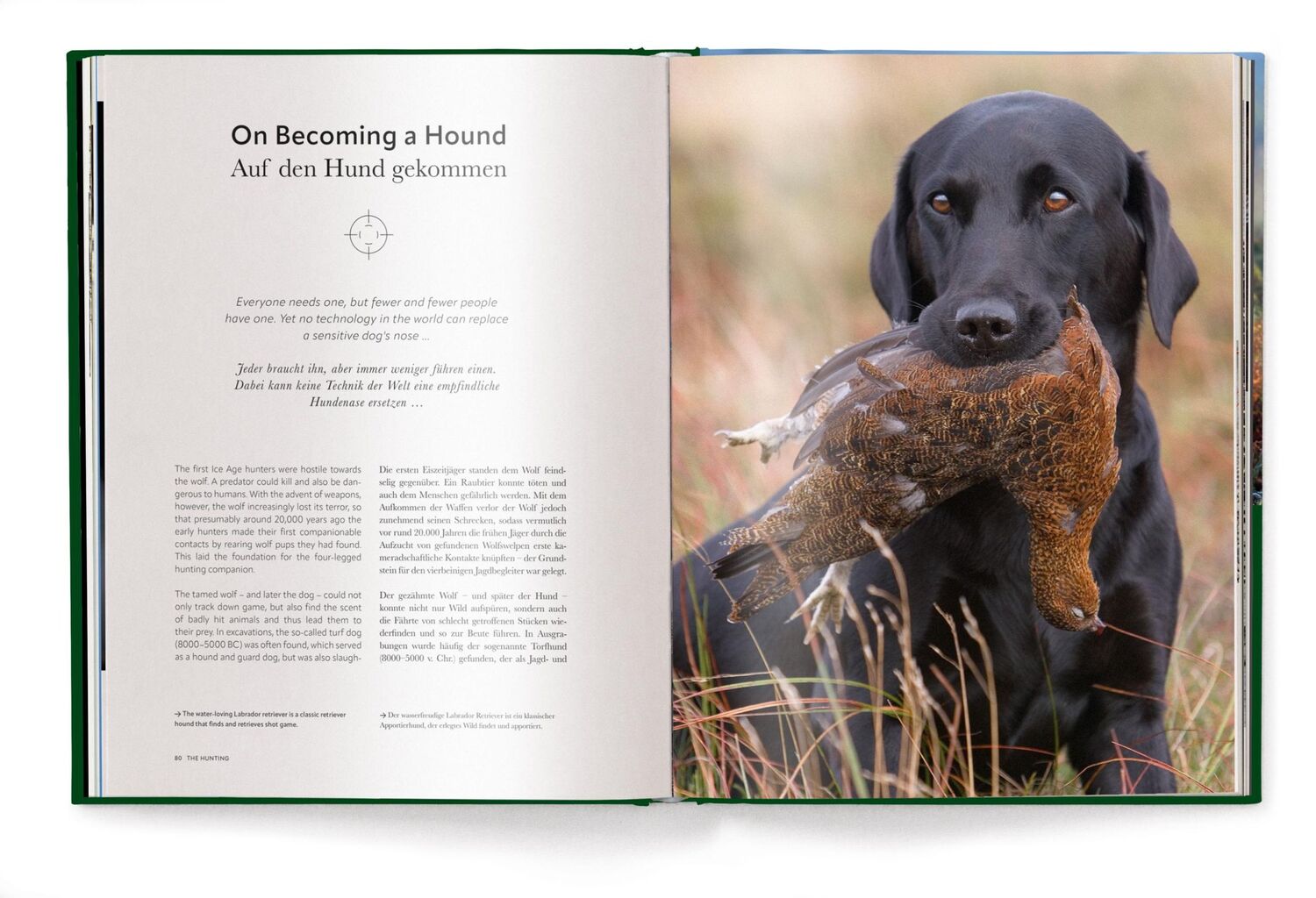 Bild: 9783961715770 | Jagd - Das ultimative Buch | Peter Feierabend (u. a.) | Buch | 224 S.