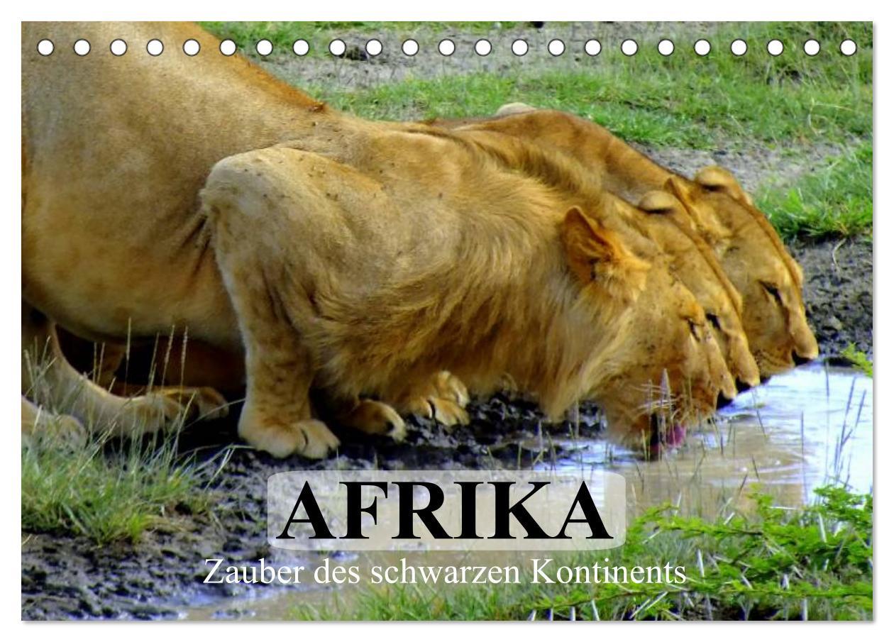 Cover: 9783435742295 | Afrika. Zauber des schwarzen Kontinents (Tischkalender 2025 DIN A5...