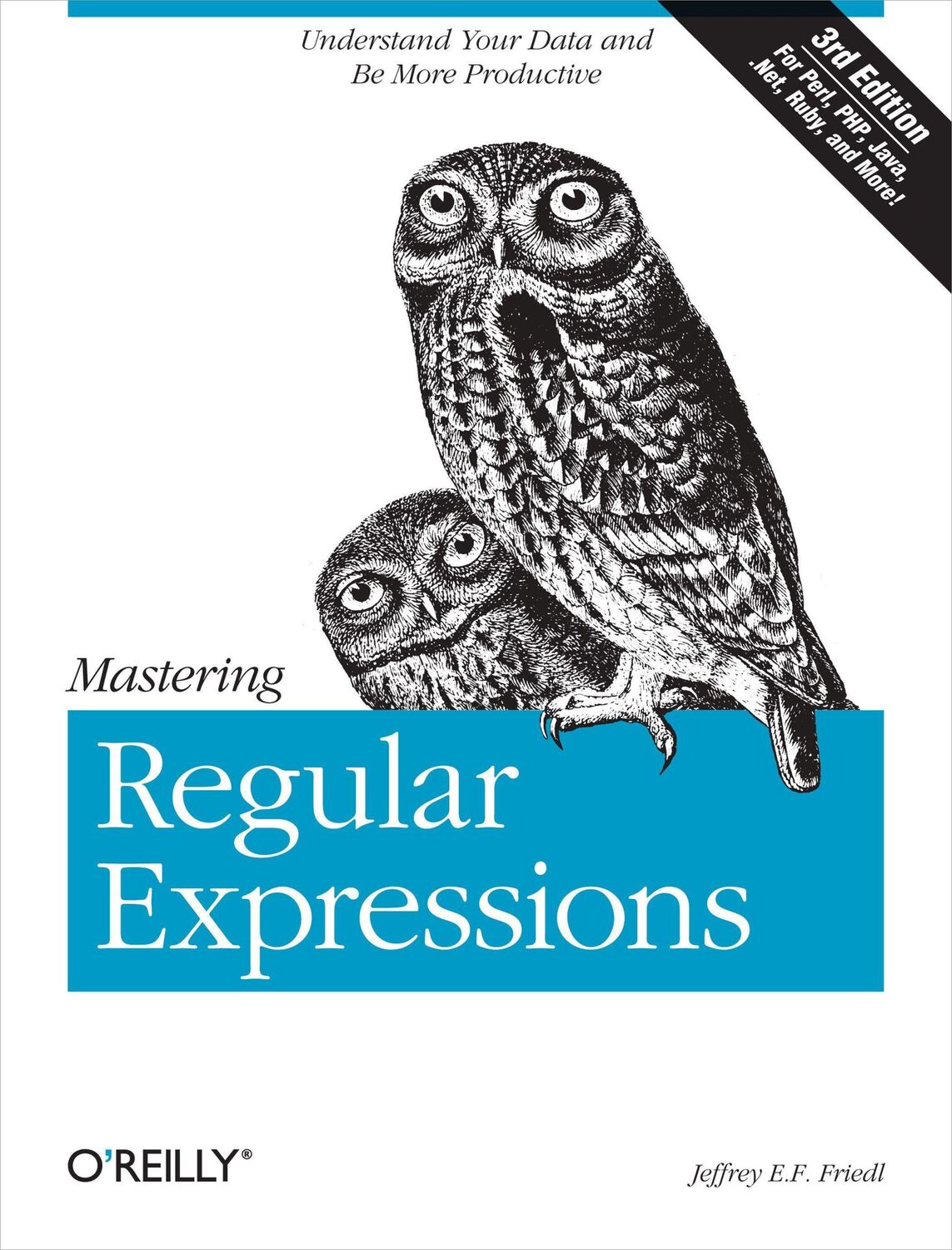 Cover: 9780596528126 | Mastering Regular Expressions | Jeffrey Friedl | Taschenbuch | XXIV