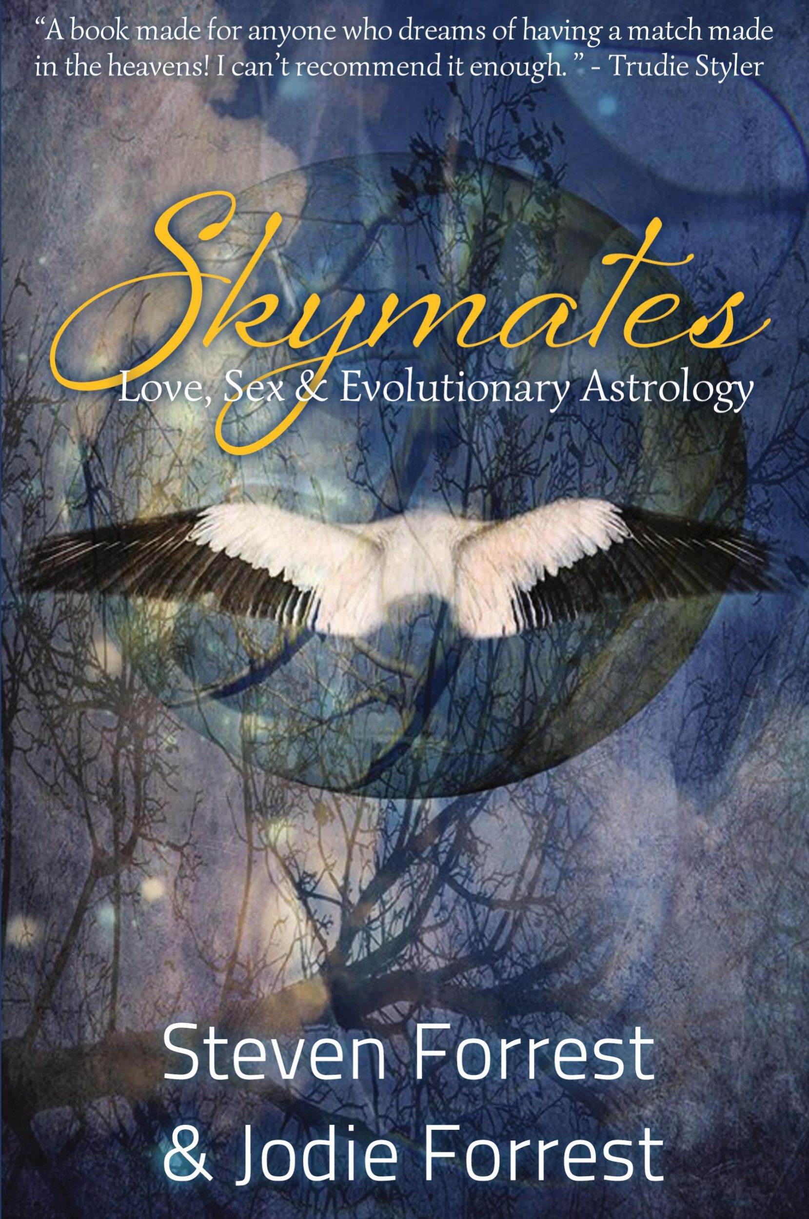 Cover: 9780964911352 | Skymates | Love, Sex and Evolutionary Astrology | Forrest (u. a.)