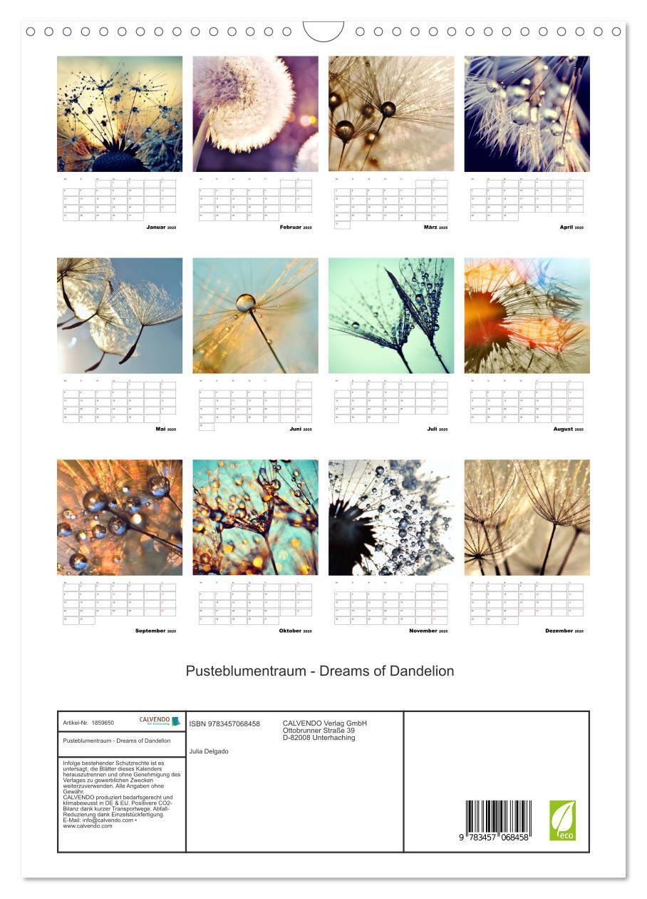 Bild: 9783457068458 | Pusteblumentraum - Dreams of Dandelion (Wandkalender 2025 DIN A3...