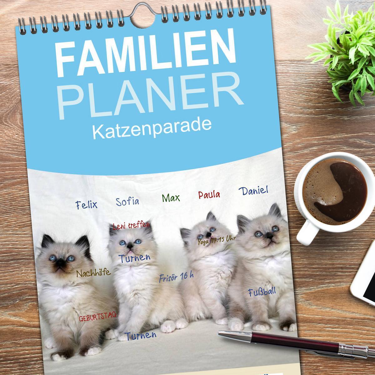 Bild: 9783457123881 | Familienplaner 2025 - Katzenparade mit 5 Spalten (Wandkalender, 21...