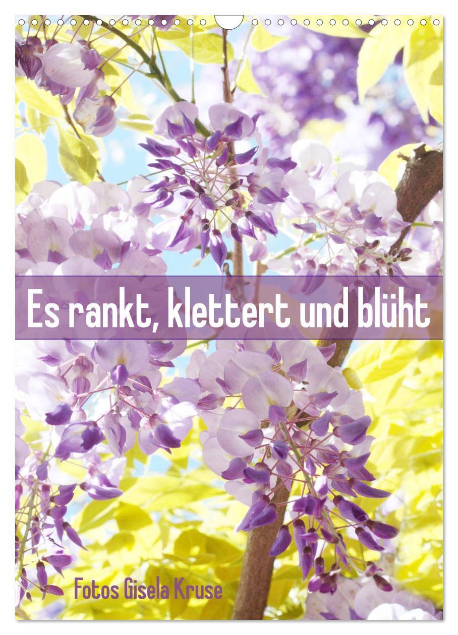 Cover: 9783435974245 | Es rankt, klettert und blüht (Wandkalender 2025 DIN A3 hoch),...