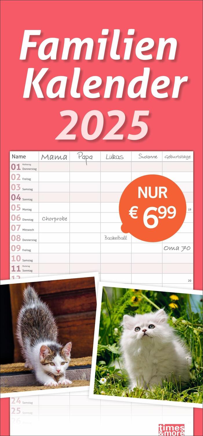 Cover: 9783756406746 | Katzen Familienplaner 2025 | Heye | Kalender | Familienplaner Athesia