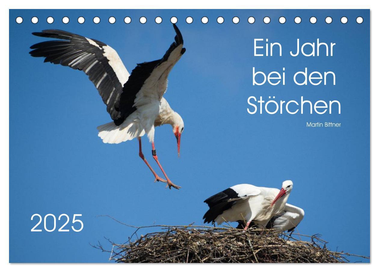 Cover: 9783435526529 | Ein Jahr bei den Störchen (Tischkalender 2025 DIN A5 quer),...