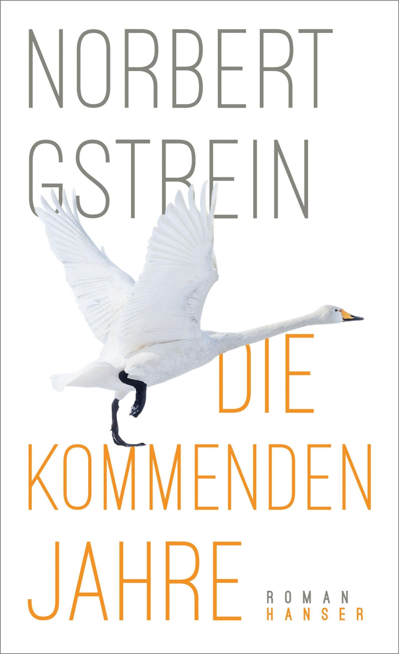 Cover: 9783446258143 | Die kommenden Jahre | Roman | Norbert Gstrein | Buch | 288 S. | 2018