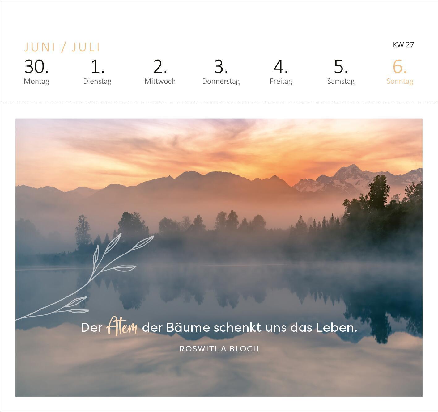 Bild: 4014489132905 | Postkartenkalender Wald und wunderbar 2025 | Kalender | 108 S. | 2025