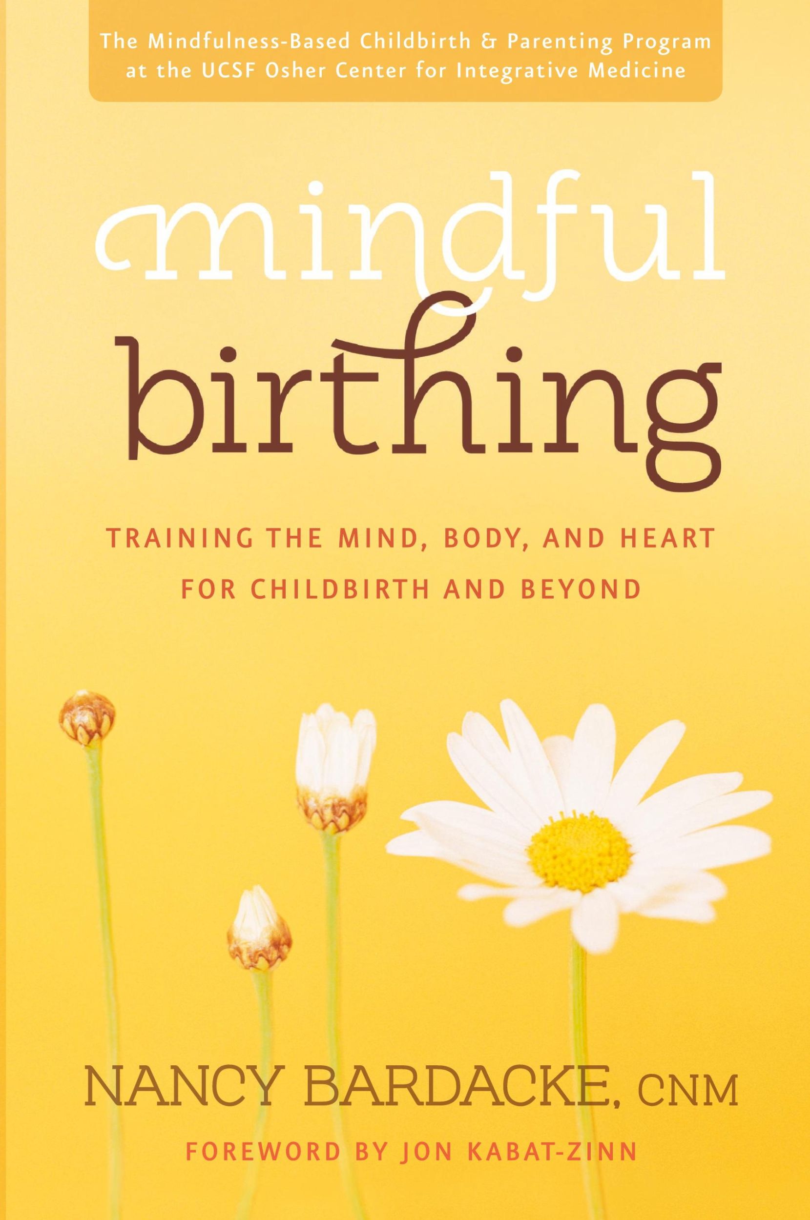 Cover: 9780061963957 | Mindful Birthing | Nancy Bardacke | Taschenbuch | Englisch | 2020