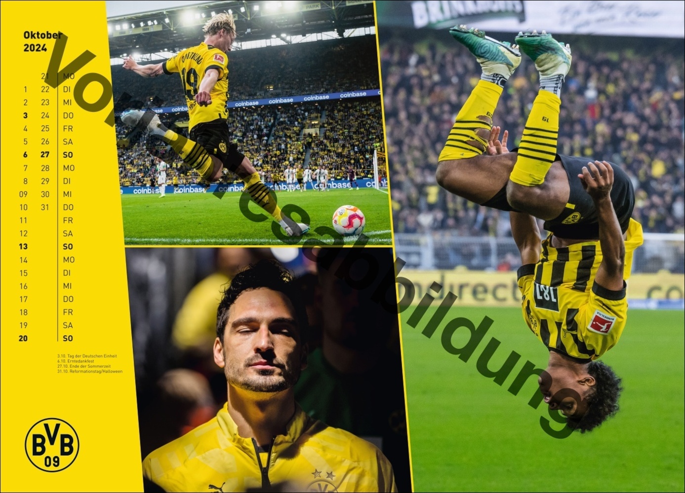 Bild: 9783756404735 | BVB Edition Kalender 2025 | Kalender | Spiralbindung | 14 S. | Deutsch