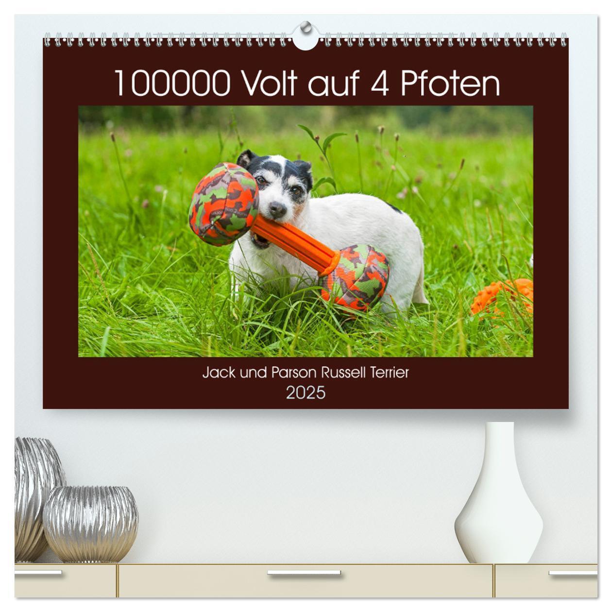 Cover: 9783435245499 | 100000 Volt auf vier Pfoten - Jack und Parson Russell Terrier...