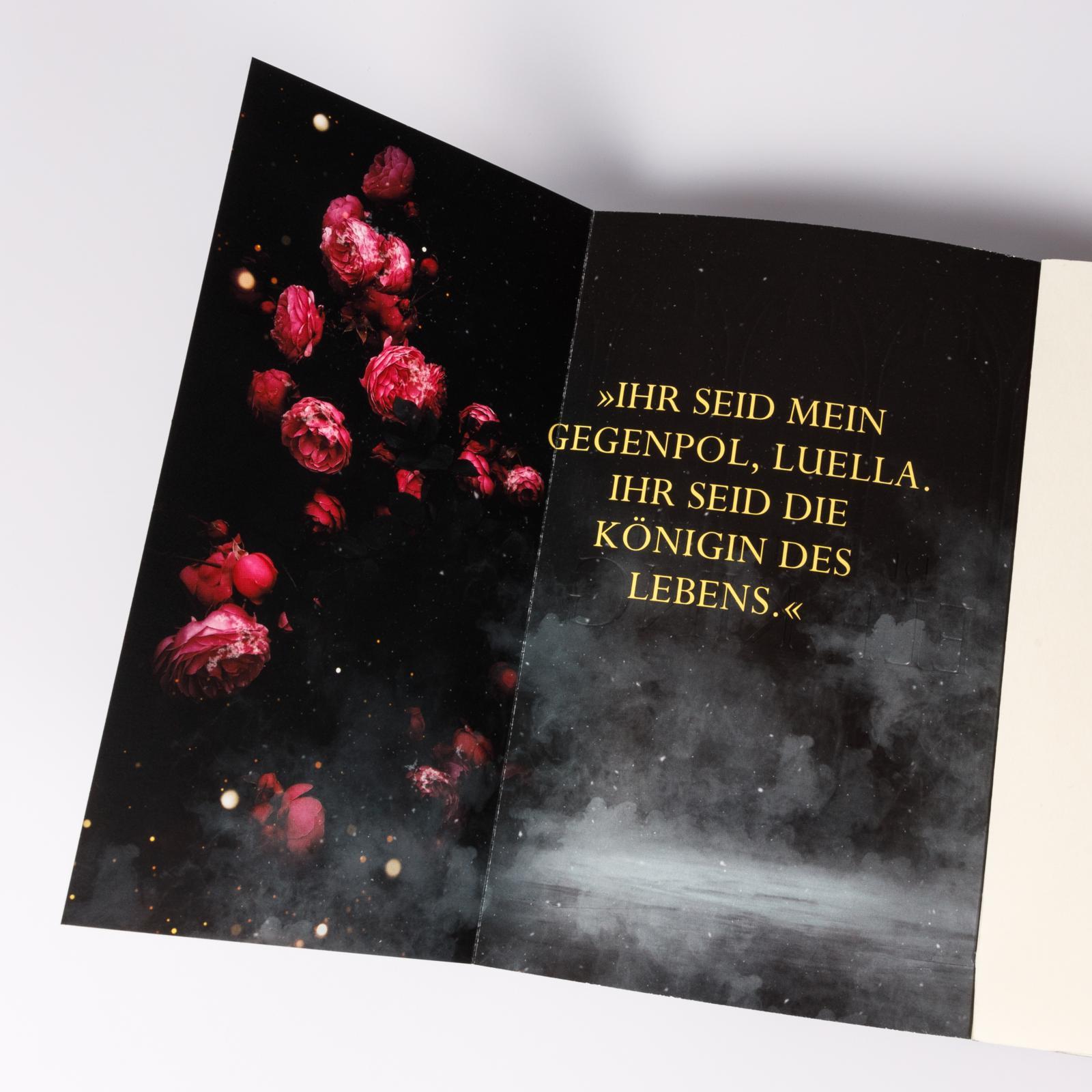 Bild: 9783551584830 | Married into Magic: Deal with the Elf King | Elise Kova | Taschenbuch