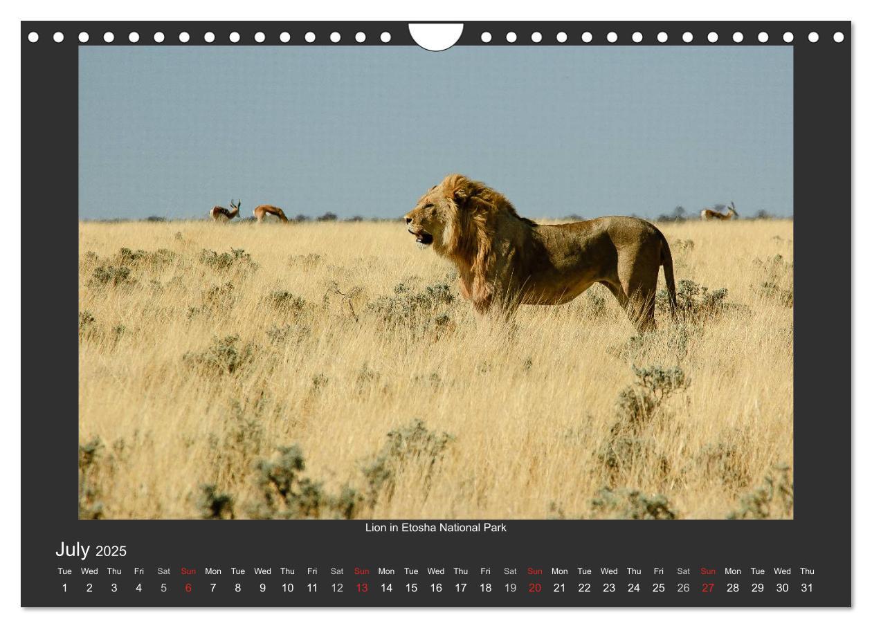 Bild: 9781325964369 | Namibia's Nature (Wall Calendar 2025 DIN A4 landscape), CALVENDO 12...