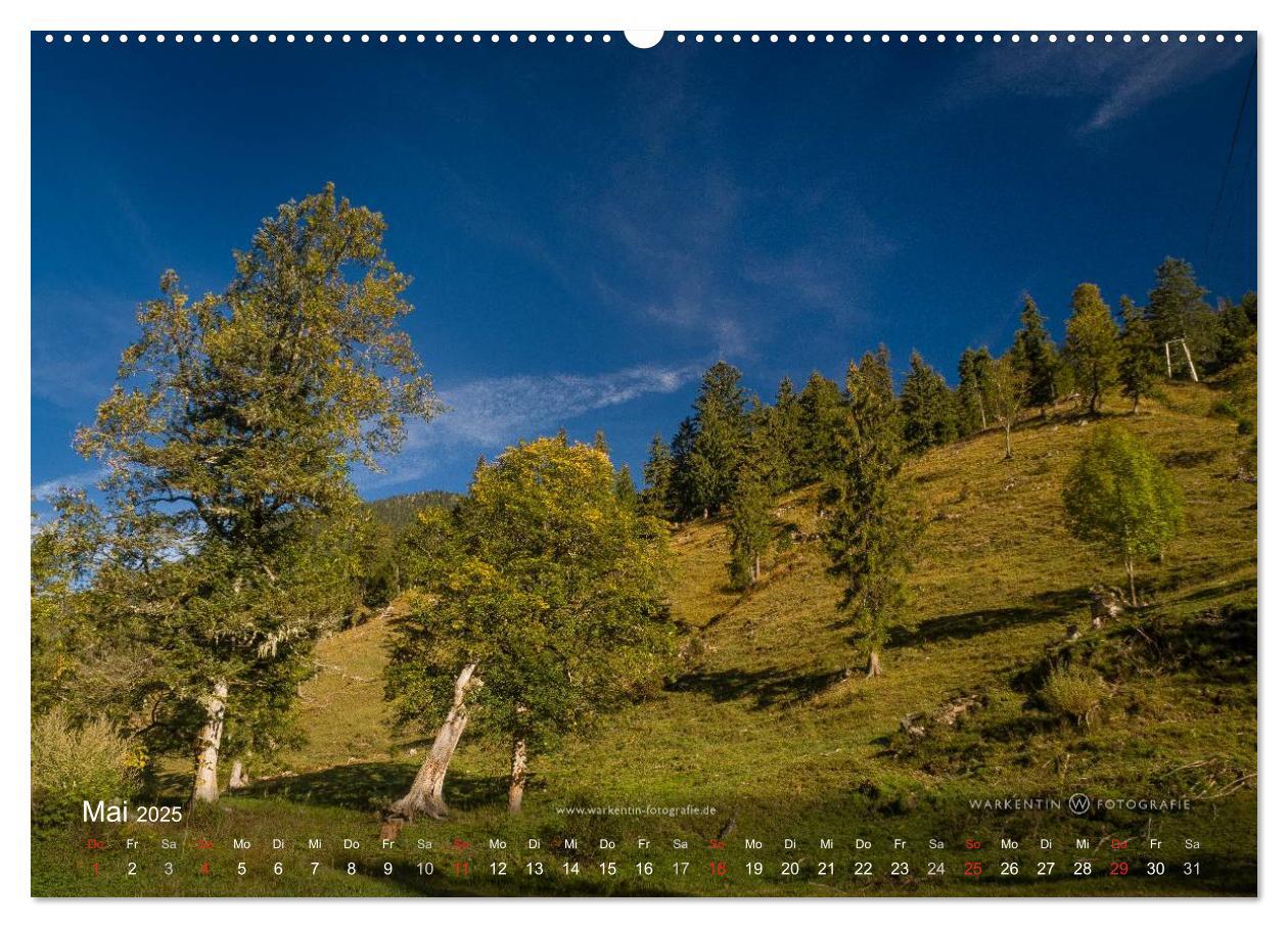 Bild: 9783435613977 | Großer Ahornboden - Europas großer Ahornwald (Wandkalender 2025 DIN...