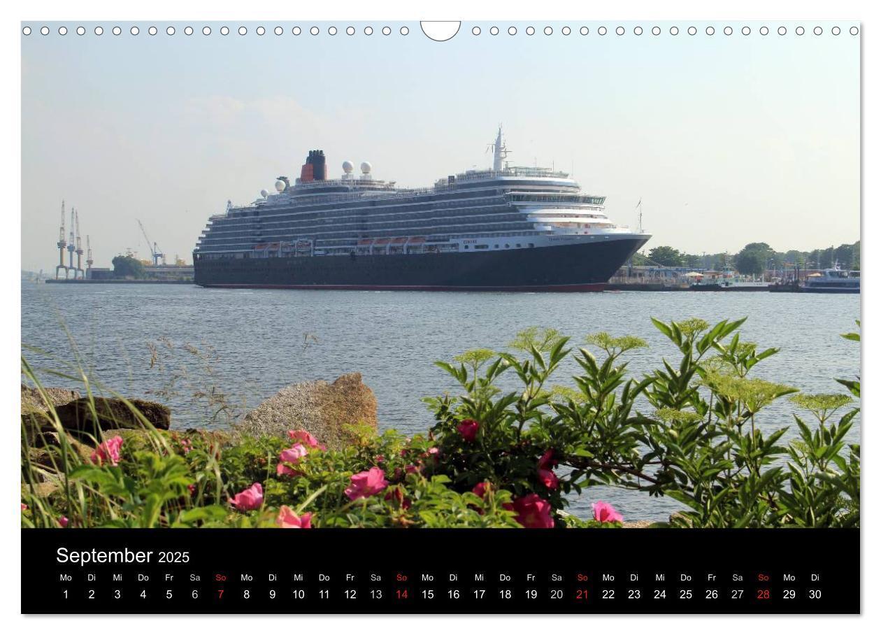 Bild: 9783435808731 | Cruiseliner in Warnemünde (Wandkalender 2025 DIN A3 quer), CALVENDO...