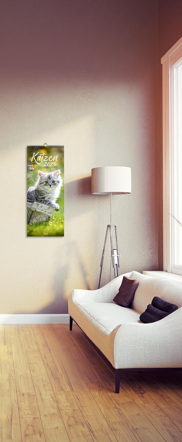 Bild: 9783731879961 | Katzen 2025 | Verlag Korsch | Kalender | Spiralbindung | 14 S. | 2025