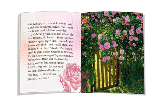 Bild: 9783987000188 | Das Geheimnis der Rose | Ulrich Peters | Taschenbuch | 16 S. | Deutsch